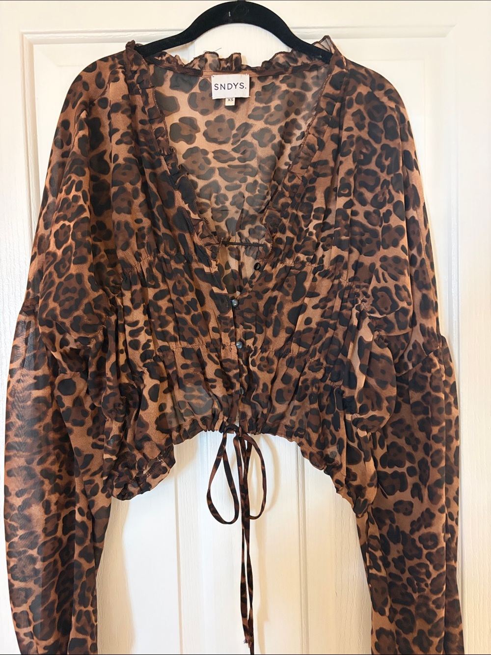 SNDYS Leopard Print Tie-Waist Sheer Blouse